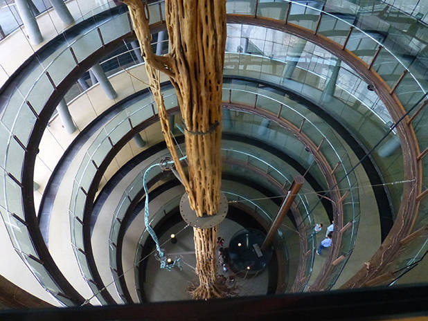 cosmocaixa tree of life