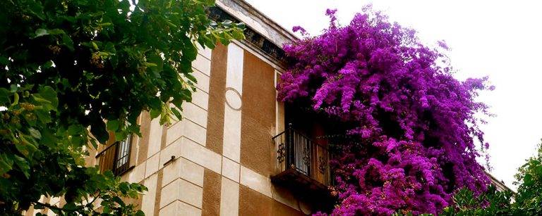 Sarrià building flowers