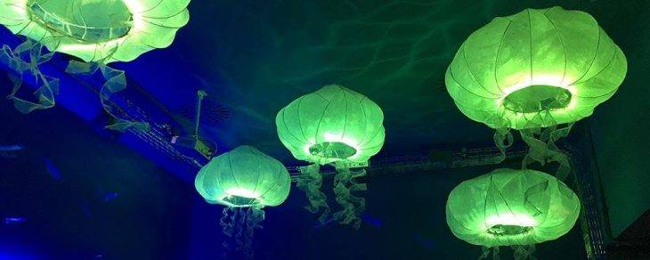 Verne jellyfish