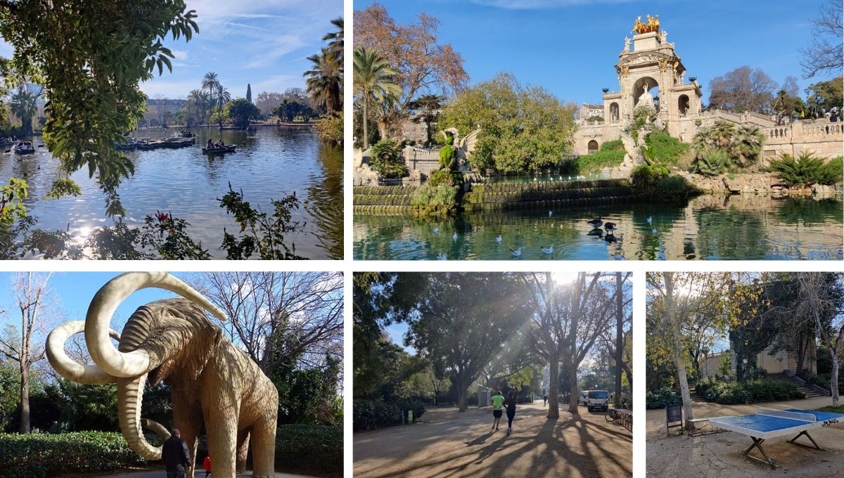 parc de la ciutadella things to see in barcelona